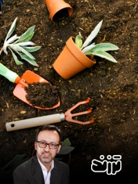 تربیت از جنس باغبانی است یا نجاری؟