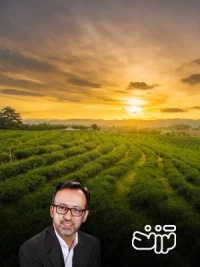 هر وقت ناامید می‌شوی باخته‌ای