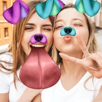 جلوه های دوربین PIP: دوربین چهره و کلاژ عکس